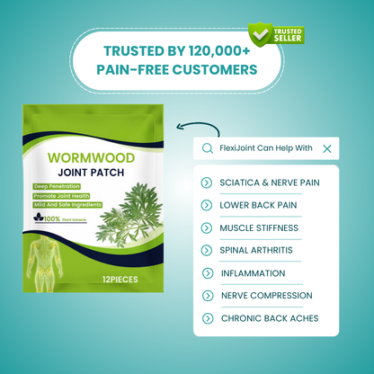 FlexiJoint Pain Patches – Multi-Area Pain Relief