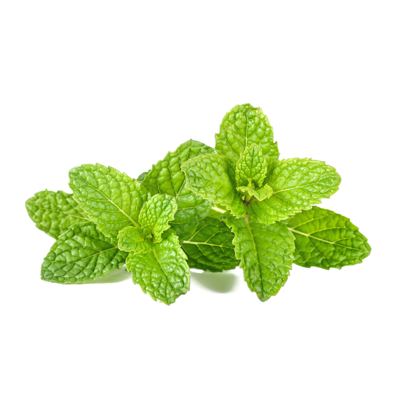Menthol